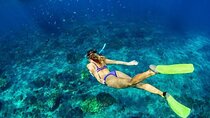 Private Swim and Snorkel Activity in Rhodes