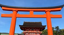 Kyoto Guided Day Tour with Free Admission 