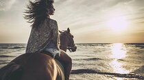 Horse Riding Adventure in the desert - El Quseir