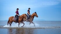 Experience Horse Riding in the stunning Desert - El Quseir