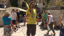 Chill Private Walking Tour of Diocletian's Palace