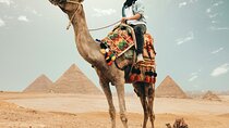Cairo private 8 hours tour pyramids, Egyptian museum & bazaar 