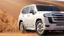 Desert Safari Dubai Sand Bashing, Camel Ride, Shows, Live BBQ