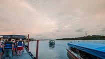 Private Fireflies Tour with Blue Tears and Seafood Dinner