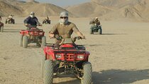  ATV Quad Safari Tour with Camel Ride & Transfer-El Quseir