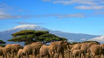 3 Days 2 Nights Amboseli National Park Tour