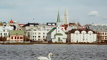 Private Introduction To Iceland Walk Tour