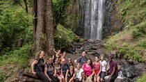 Day Trip at Materuni Waterfalls and Coffee Tour in Tanzania