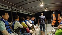 Shared Fireflies Tour with Blue Tears and Seafood Dinner
