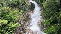 Rainforest Volcano Tour
