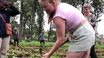 Arusha Full Day Tour to Waterfall and Coffee Tour