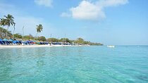 Cholon Private Full Day Tour