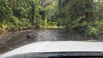 Private Hiking on Dry Forest in Costa Rica
