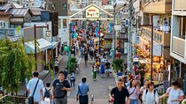 Tokyo Walking Tour of Historic Shopping Streets Yanaka
