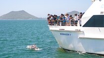 Port Stephens Experience: Incredible Adventure, Wild by Nature