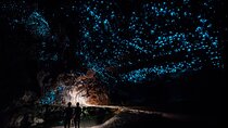 Private Tour Waitomo Caves from Auckland 