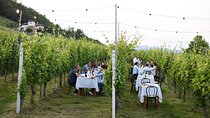 Guided Walk and Lunch in the Vineyard in Alba