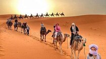 From Marrakech: 3-Day Desert Tour Share-Group And Camel trekking