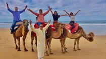 Multi-Day Tour, 3-Day Trip Tangier to Assilah and Chefchaouen