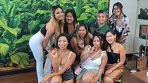"Cigar Factory Tour Little Havana"