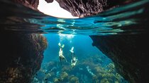 Guided Snorkeling and Island Exploration in Auckland