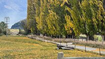 Full Day Sightseeing Tour To Discover Queenstown's Scenic Wonder 
