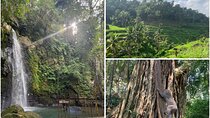 Monkey Forest Ubud Half day Tour