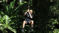 Hanuman World's FH2 Zipline Adventure