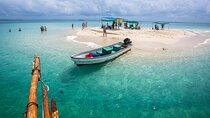 Safari Blue Full Day Sea Trip with Delightful Lunch – Zanzibar