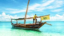Safari Blue, Full Day Experience with Delicious Lunch - Zanzibar