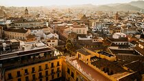 Private Tour to Malaga with Castle and Alcazaba from Seville