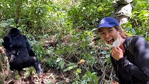 3 Day Uganda Gorilla Trekking and Batwa Pygmies Experience
