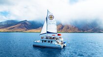 Four Winds Maui Afternoon Snorkel Tour to Coral Gardens 