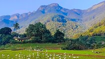 Kandy 360° Green Mountain Day & Half Day City Tour By Tuk Tuk 