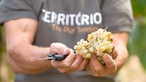 Vinho Verde Experience with 2 Wineries and Lunch