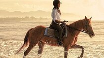 Bali Horse Riding + Waterfall + Rice Terrace + Lunch 
