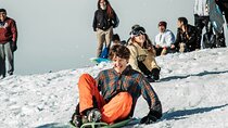Private Winter Tour + Sledding in Rocky Mountain National Park