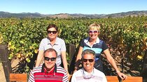 Private Russian River Day Trip from San Francisco: Redwoods and Wine Country