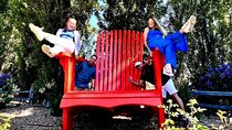 Embark on an Epic Muir Woods and Wine Country Adventure!