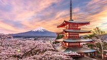 Private Tour to Mt Fuji and Hakone with English Speaking Driver