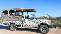 3-Day Etosha Safari Camp Gondwana from Windhoek