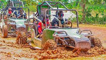  Extreme Jungle Buggy Ride with Coffee and Chocolate Tasting