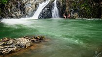 Amazing Daintree Rainforest Tour Waterfall Hike, Lunch, Swim & Crocodile Cruise