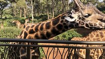 Half Day Excursion Tour in Nairobi 