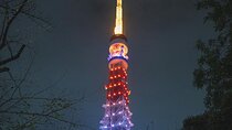 Private Tour in Tokyo with English speaking driver 