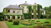 Darwin's Down House Discovery Private Day Trip from London
