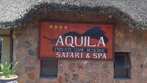 Cape Town Full Day Private Big 5 Safari at Aquila Game Reserve