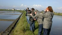 Birdwatching and Culinary Experience in Traditional Saltpans