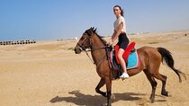 2-Hour Desert Horse Ride with Included Transfers –Sharm El Sheikh