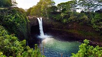 Big Island Half-Day Tour with Lunch + Fresh Locally Grown Fruit 